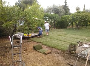 CAM00476-1920w