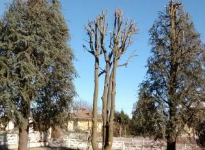 IMG-20170307-WA0005-1920w